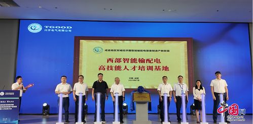 中国网聚焦智能输配电 技术创新引领能源高效转型